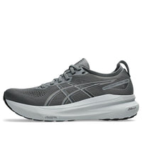 ASICS Gel-Kayano 31 'Steel Grey' 1011B867-020