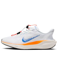 Nike Air Zoom Pegasus 41 EasyOn 'Blueprint Pack' HM0374-900