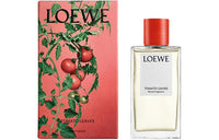 LOEWE Aromatherapy