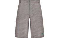 DIOR FW22 Casual Shorts Men Brown