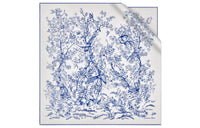 DIOR Silk Scarves Women's Blue/White