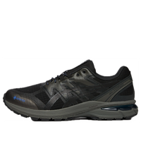 ASICS Gel-Terrain Gore-Tex 'Graphite Grey Gunmetal' 1203A457-020