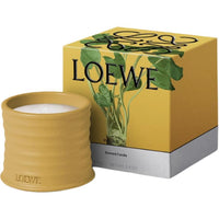 LOEWE Candles / Candlesticks