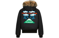 LOUIS VUITTON X Nigo Embroidered Lv Mountain Aviator Blouson