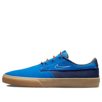 Nike Shane Premium SB 'Signal Blue' DC8902-400