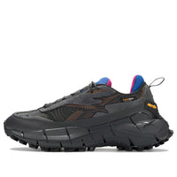 Reebok Zig Kinetica 2.5 'Pure Grey Vector Blue' 100033180