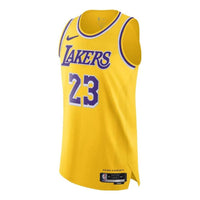 Nike Dri-FIT NBA Authentic Jersey 22/23 Icon Edition 'LeBron James Lakers' DM6028-731