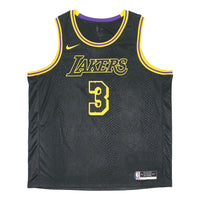 Men's Nike SW Fan Edition Lakers Davis No. 3 Casual Sports Basketball Jersey/Vest Black DJ1433-010