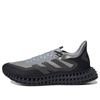 adidas 4DFWD 2 'Halo Silver / Night Metallic' HP3205