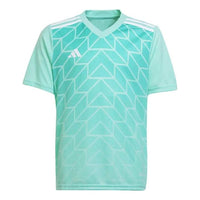 adidas Team Icon 23 Jersey 'Clear Mint' IC1252