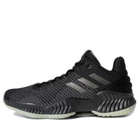 adidas Pro Bounce 2018 Low 'Black Carbon' B41864
