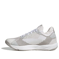 adidas Rapidmove ADV Trainer 'Grey' HP3266