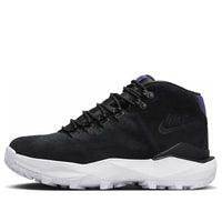 Nike Cygnal 'Black Court Purple' FV4332-001