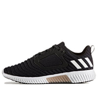 (WMNS) adidas CLIMAWARM ATR W CG2734