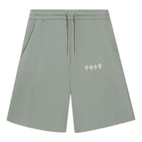 Li-Ning Embroidery Logo Straight Shorts 'Green' AKSSA87-6