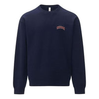 Reebok Vintage Sweatshirt 'Blue Red' 24SRC303UGN2