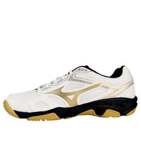 Mizuno Sky Blaster 'SlipResistant Durable Low Badminton' 71GA234601