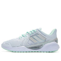 (WMNS) adidas Climacool Vent 'Grey' FZ2405