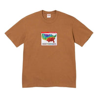 Supreme FW23 Week7 Weather T-shirt 'Brown' SUP-FW23-137