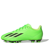 (GS) adidas X Speedportal.4 FG 'Solar Green' GW8497