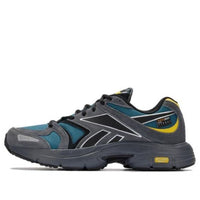 Reebok Premier Road Plus Vi 'Hooblu Pure Grey' 100070274