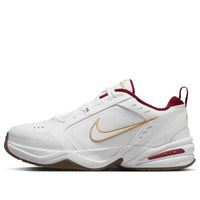 Nike Air Monarch IV 'Year Of The Snake' IB4607-171