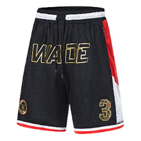 Li-Ning Way of Wade Hall of Fame 2023 Basketball Shorts 'Black' AAPT733-1