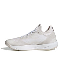 (WMNS) adidas Rapidmove ADV TRAINER 'White Grey' IF3202