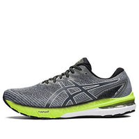ASICS GT-2000 10 2E Wide 'Carrier Grey' 1011B186-023