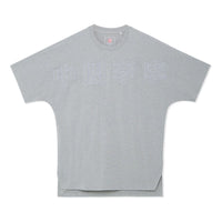 Li-Ning Big Logo Crew Neck T-shirt 'Grey' AHSS243-1