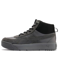 PUMA Tarrenz SB Sneakers Grey 370551-03