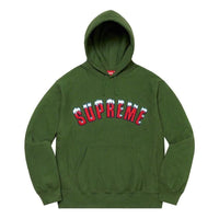 Supreme FW20 Week 1 Icy Arc Hoodie 'Olivegreen' SUP-FW20-004