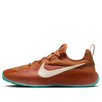 Nike LeBron TR 1 'Amber Brown Green Frost' FJ6151-200