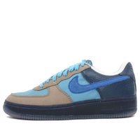 Nike Air Force 1 Low Io Premium 'Stash' 313213-441