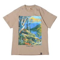 Nike ACG Crater Lake Sports Printing Pattern Round Neck Short Sleeve Khaki DA4878-247