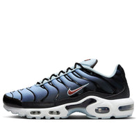 Nike Air Max Plus 'Black Blue Tint' DM0032-008