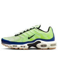 Nike Air Max Plus 'M. Frank Rudy' DZ0480-300