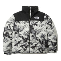 THE NORTH FACE 1996 Novelty Nuptse Jacket 'White' NJ1DN76A