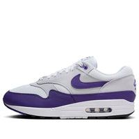 Nike Air Max 1 SC 'Field Purple' DZ4549-101