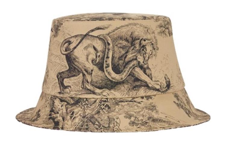 DIOR Graphic Printed Bucket Hat