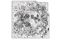 DIOR Silk Scarves Women's White/Black