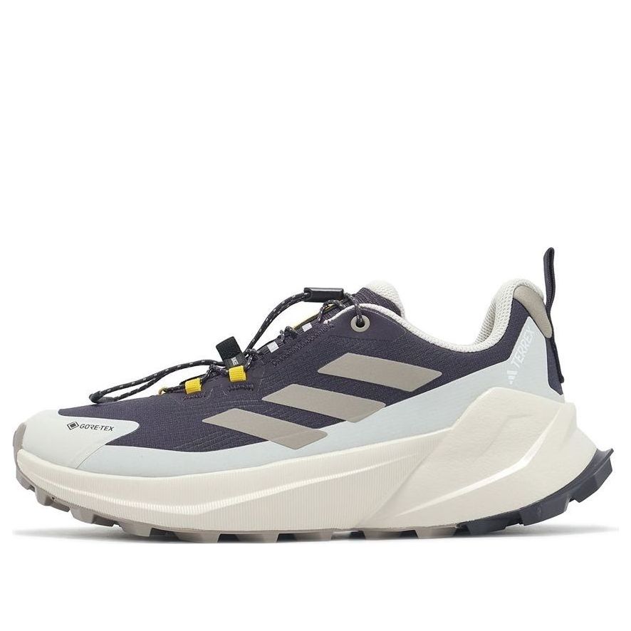 (WMNS) adidas x National Geographic Terrex Trailmaker 2 Gore-Tex 'Aurora Black Beige' JP7065