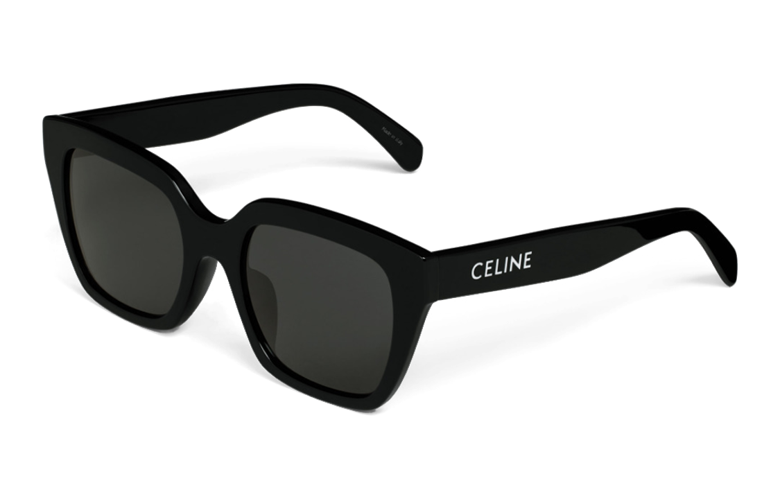 CELINE Monochroms 03 Sunglasses In Acetate