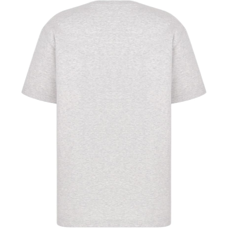 DIOR Logo Embroidered Crew Neck Loose Fit Short-Sleeved T-Shirt T-Shirt Men's Gray