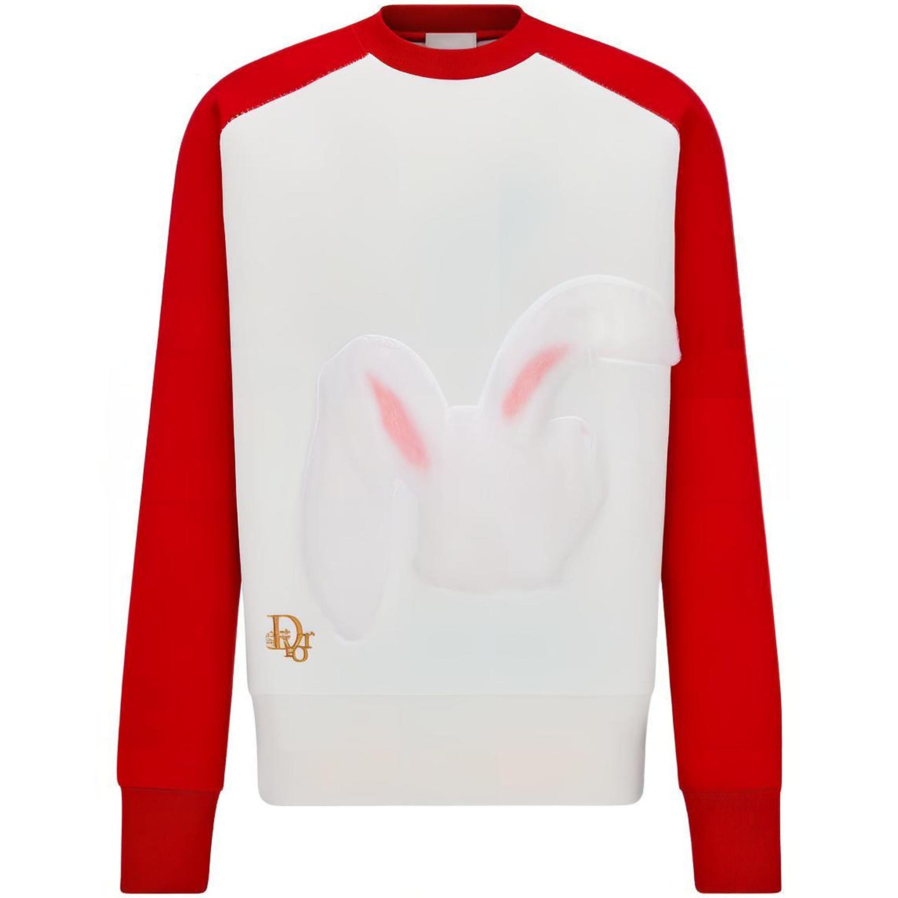 DIOR X Erl Sweatshirt