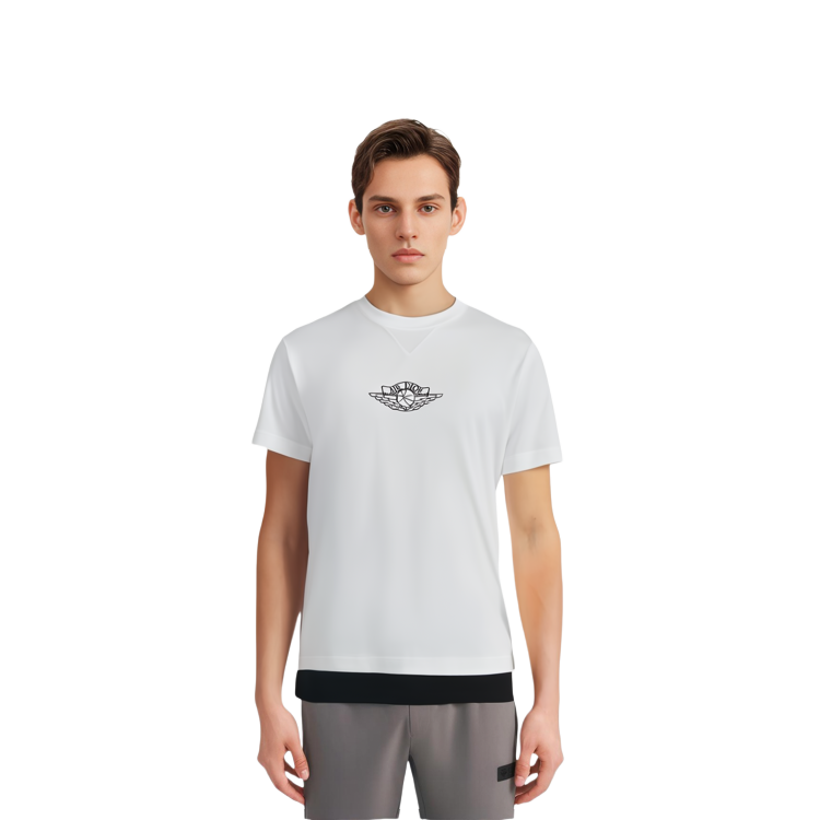DIOR X Air Jordan Wings T Shirt