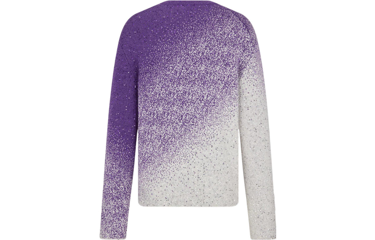 DIOR X Erl Sweater