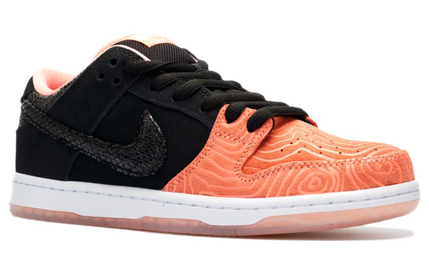 Nike x Premier SB Dunk Low Pro 'Fish Ladder' 313170-603