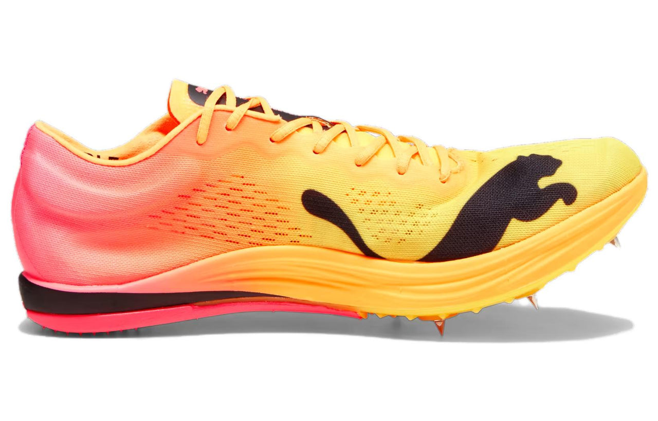 PUMA EvoSPEED Long Distance Nitro Elite+ Spike Shoes 'Orange' 378222-03