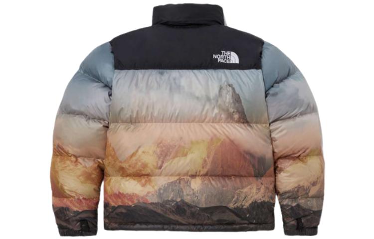 THE NORTH FACE 1996 Novelty Nuptse Jacket 'Multicolor' NJ1DP76B